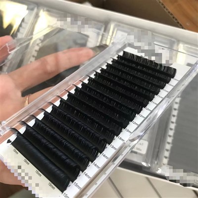 캐시미어 러시안 래쉬